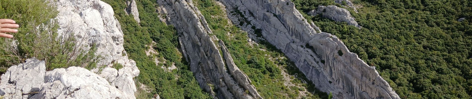 Trail Walking Plan-d'Aups-Sainte-Baume - Tour Cauvin, Dent de Roque Forcade, grotte de la Grande Baume - Photo