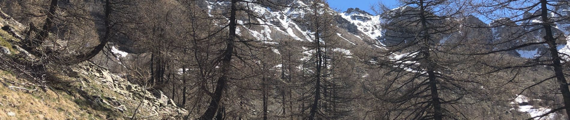 Randonnée Raquettes à neige Entraunes - Tête de Sanguinière - Photo