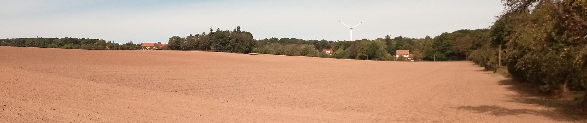 Excursión A pie Freudenberg - Rundwanderweg Rauenberg, Ra1, Birkwiesen-Weg - Photo