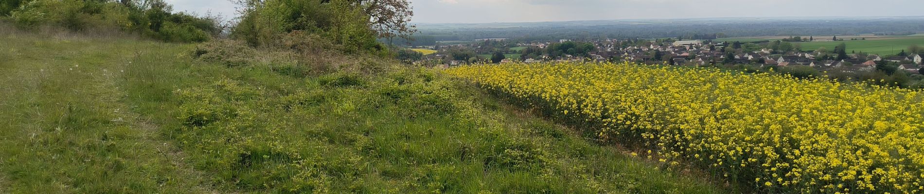 Tour Wandern Gouaix - petite randonnée bois de GOUAIX - Photo