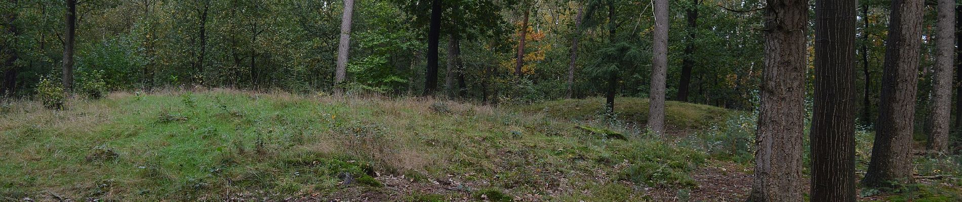 Randonnée A pied Epe - Welkom op Scherpenberg en Majuba!, Gele route - Photo