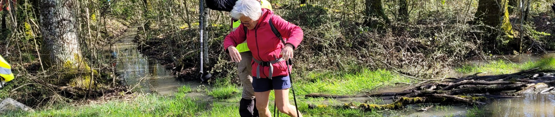 Trail Walking Le Controis-en-Sologne - ouchamps - Photo