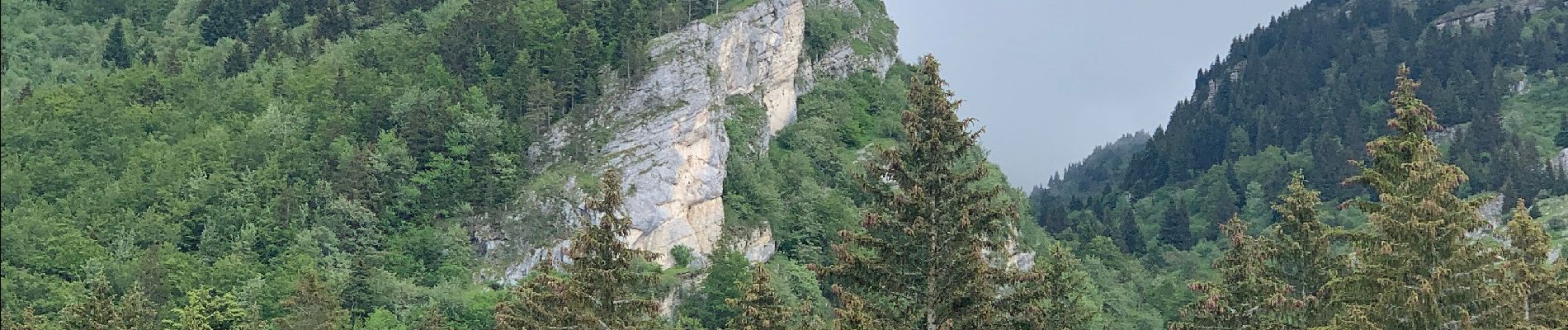 Tocht Stappen Villard-de-Lans - LA CONVERSARIA 1 - Photo