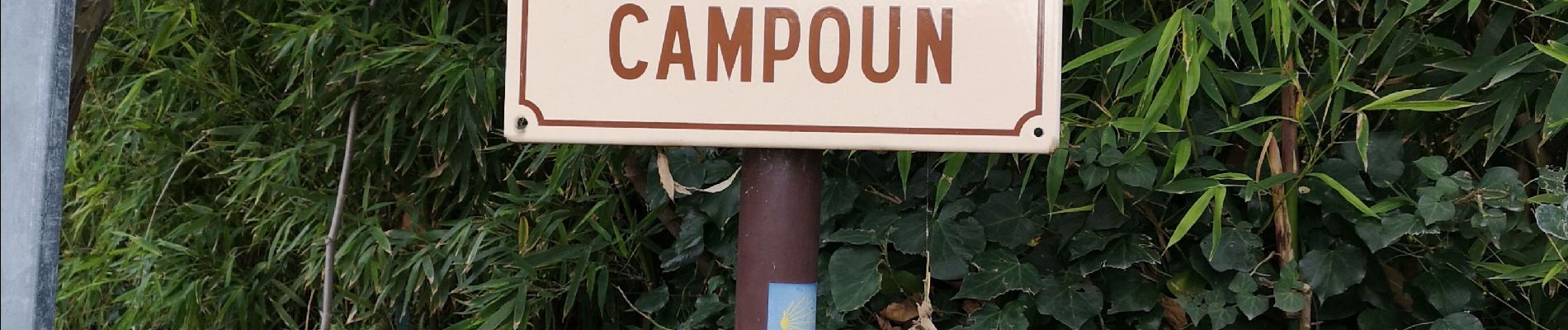 Randonnée Marche Aspremont -  le tour du Mont Chauve d'Aspremont - Photo