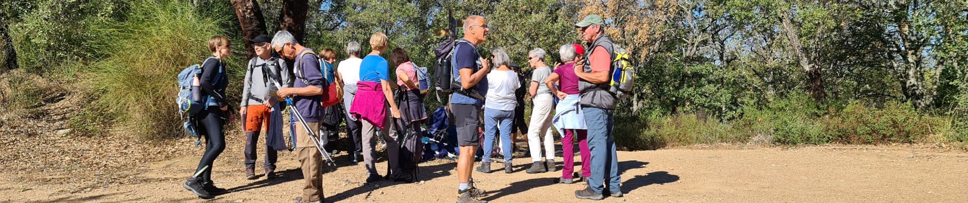 Tour Wandern Les Arcs-sur-Argens - Vidauban - Tournavelle - Photo