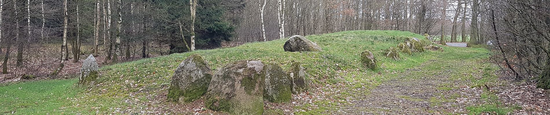 Tour Zu Fuß Unknown - Sporet i Præstemosen - Photo