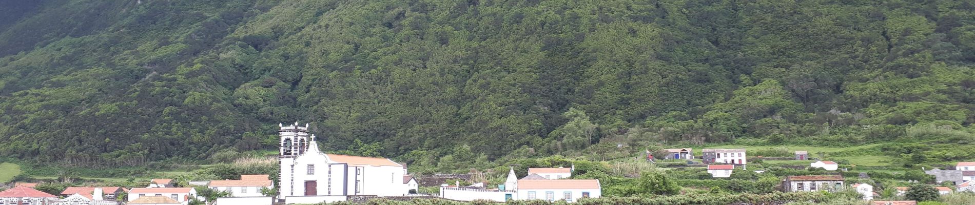 Tocht Stappen Ribeira Seca - 20231406acores - Photo