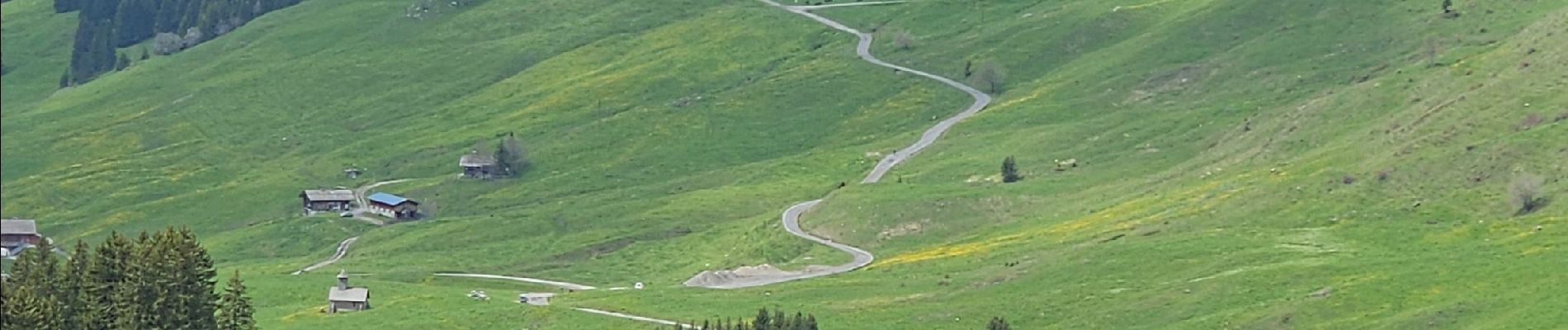 Tocht Stappen Le Reposoir - Col des Annes du Reposoir - Photo