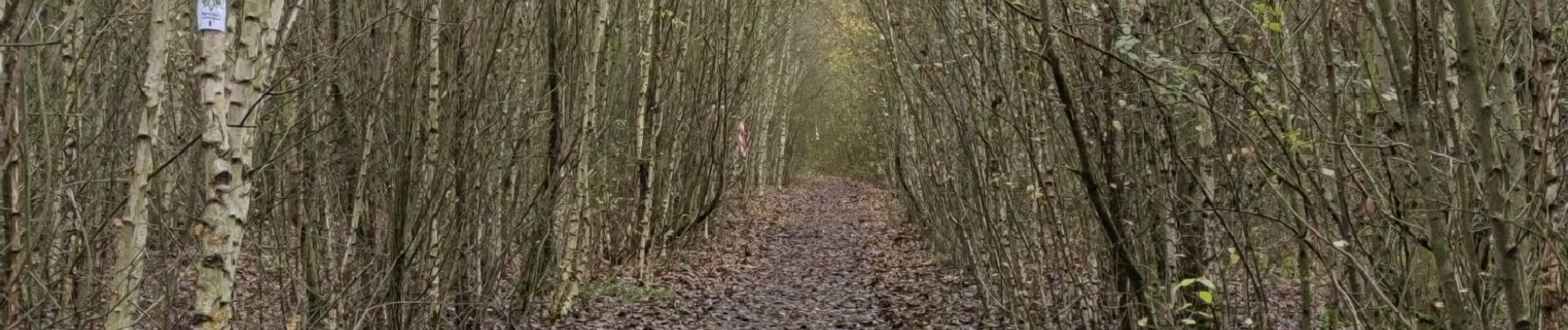Trail Walking Grâce-Hollogne - Randonnée à Bierset  - Photo