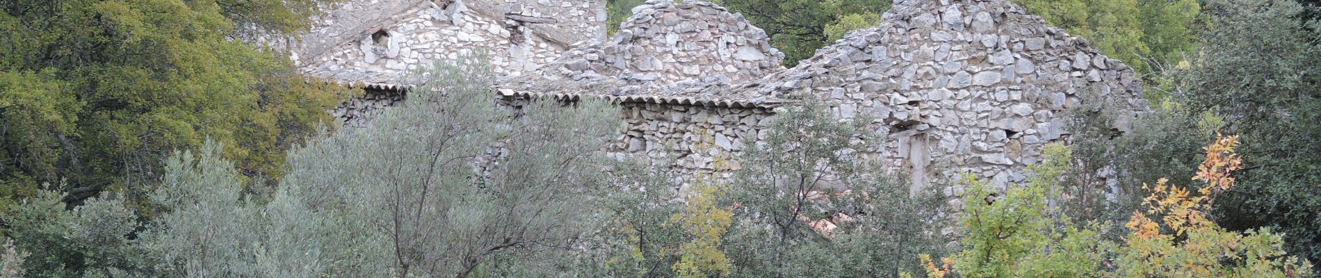 Trail Walking Eygalières - PF-Eygalières - Le refuge de Jean Moulin - Photo