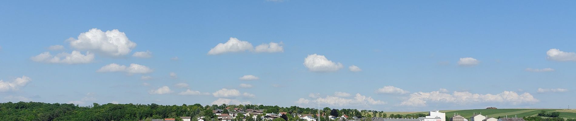 Tocht Te voet Gemeinde Mistelbach - tutgut-Wanderweg Route 3 - Photo