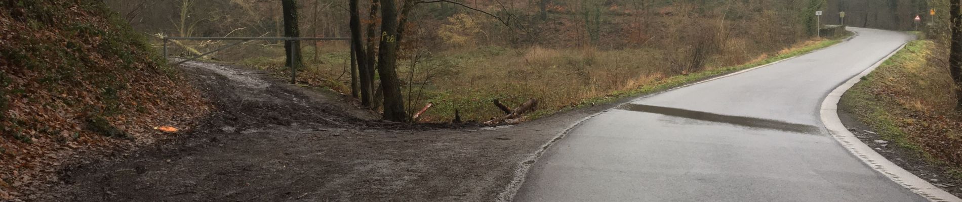 Tour Zu Fuß Nandrin - Les rochettes Bois des dames - Photo