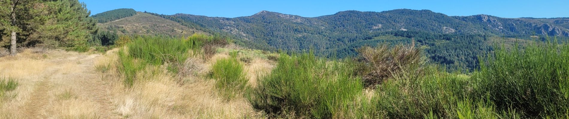 Randonnée Marche Alzon - mont guiral - Photo