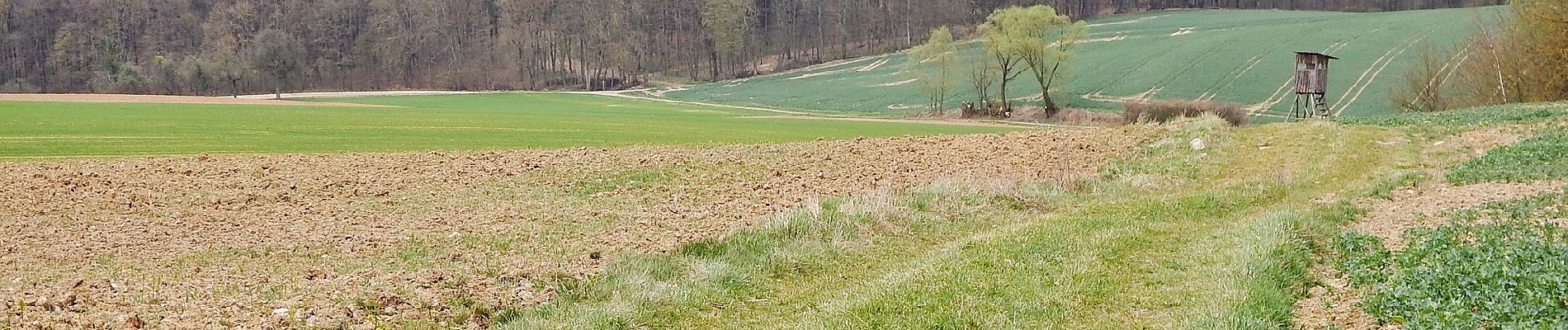 Tour Zu Fuß Widdern - Olnhausen-Widdern - Photo