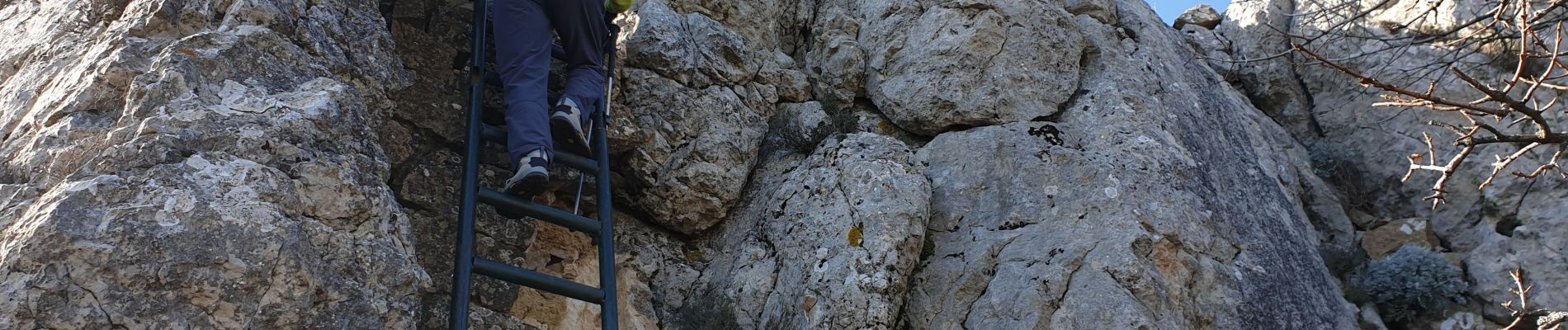 Excursión Senderismo Le Revest-les-Eaux - Le Mont Caume - Photo