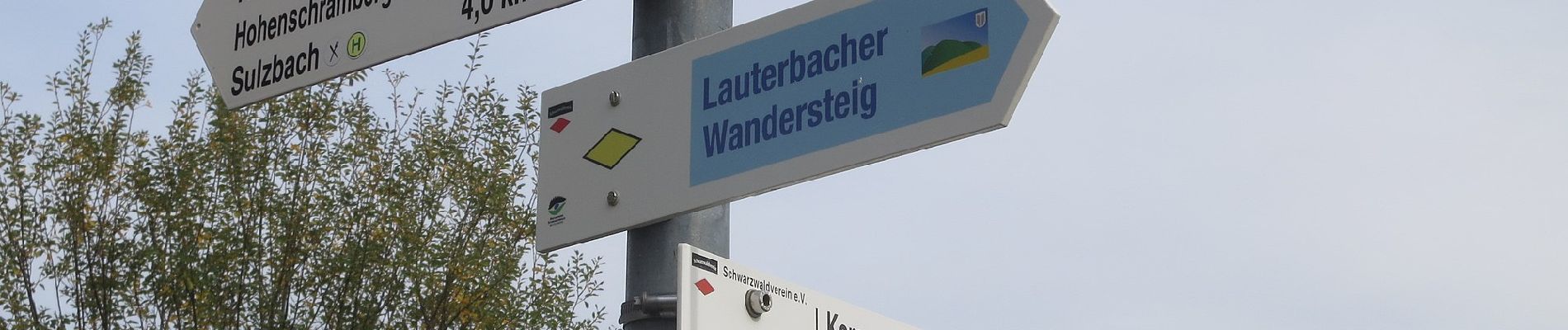 Tour Zu Fuß Lauterbach - Lauterbacher Wandersteig - Photo