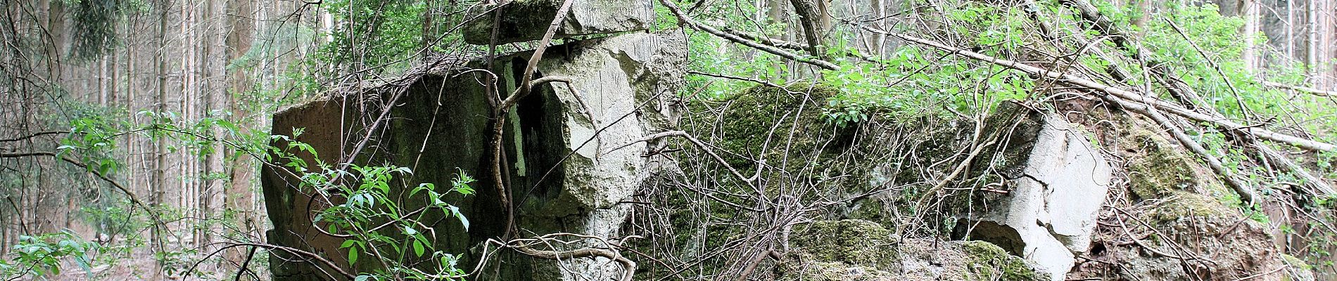 Percorso A piedi Riegelsberg - Frohn-Wald-Weg - Photo