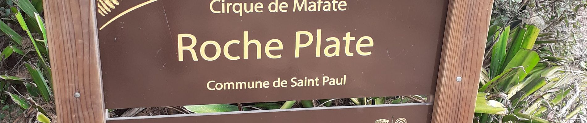 Randonnée Marche La Possession - Cayenne  la Roche Plate  - Photo