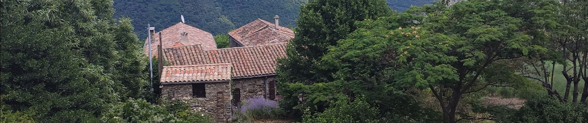 Excursión Senderismo Sumène - Pinoch - Le Castanet en boucle - Photo