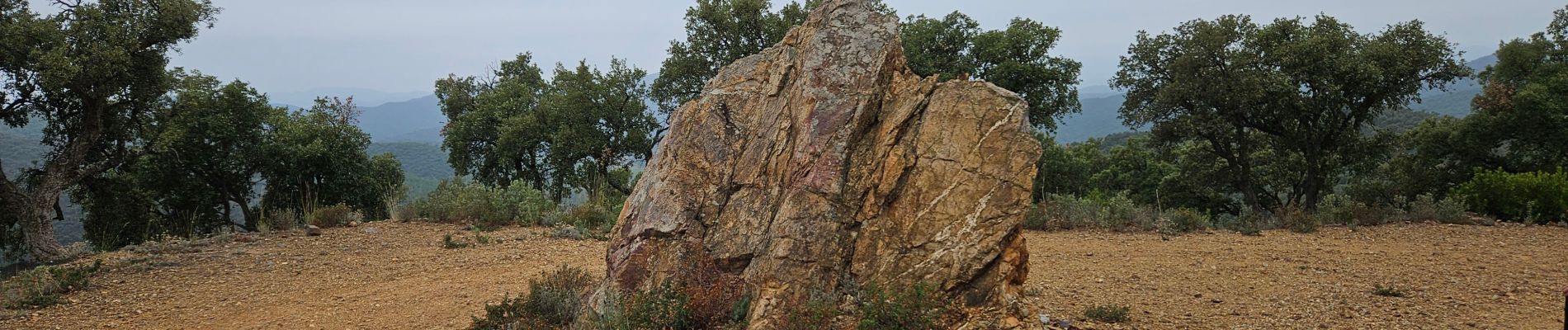 Tocht Stappen Pierrefeu-du-Var - Circuit dans les maures - Photo