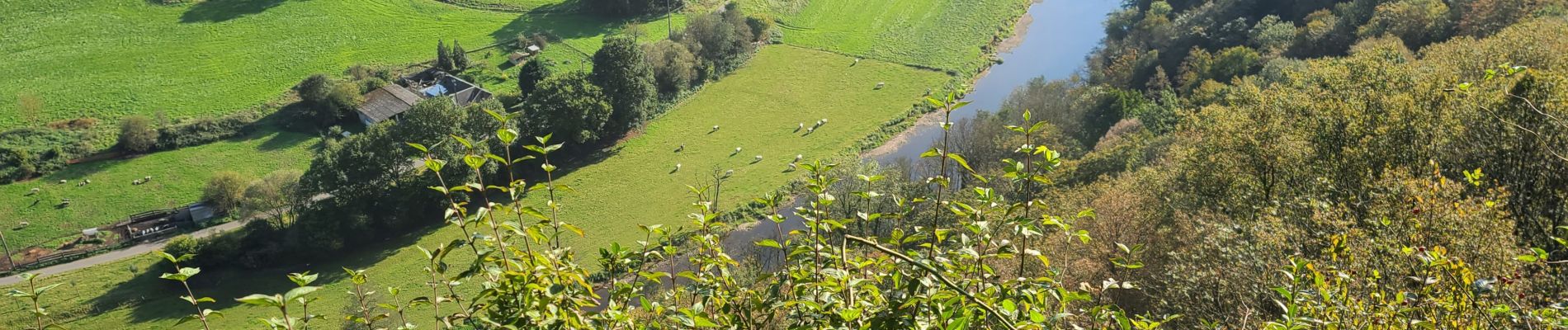 Tocht Stappen Seraing - boncelles - Photo