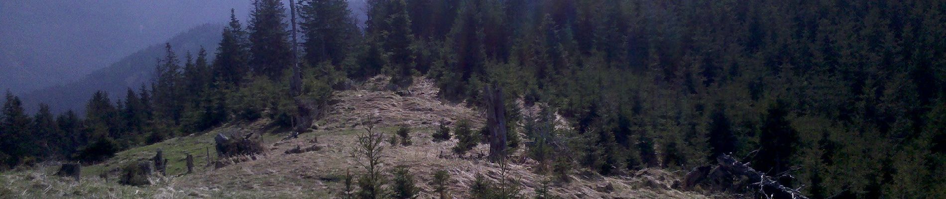 Tour Zu Fuß Reichersbeuern - Wanderweg R 7 - Bayrische Voralpen - Photo