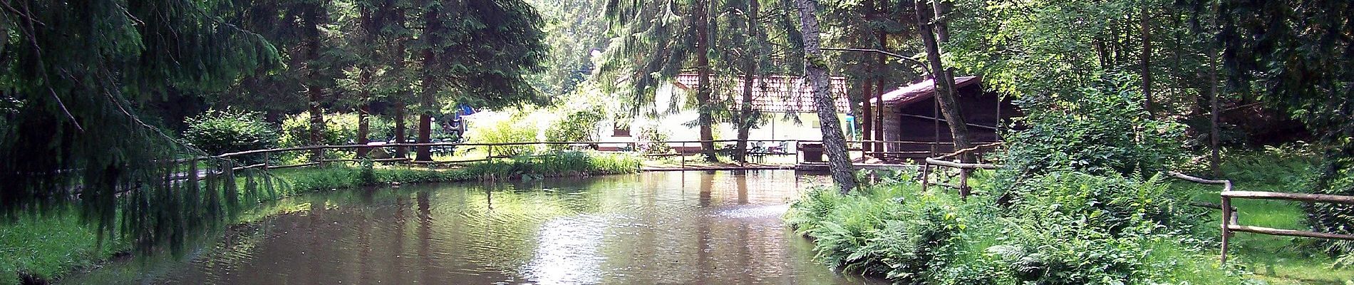 Percorso A piedi Blieskastel - DE-Reh - Photo