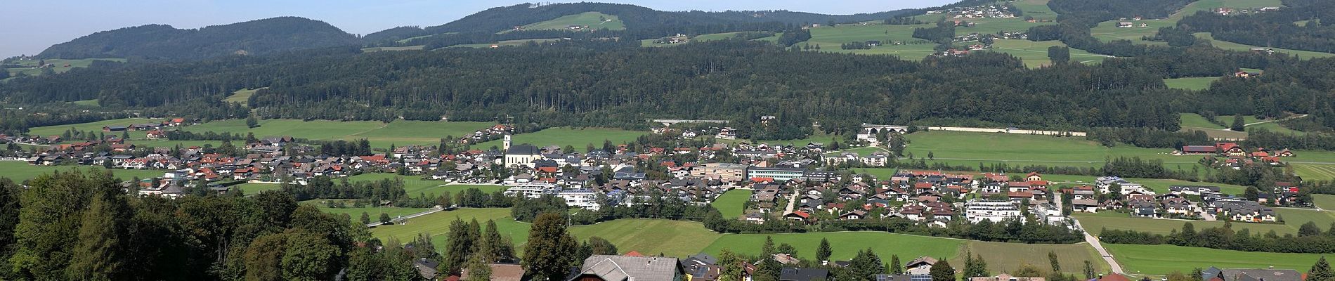 Percorso A piedi Thalgau - Barham Rundweg - Photo