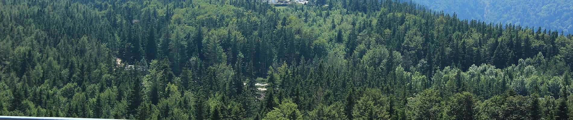 Tour Zu Fuß Gemeinde Miesenbach - Miesenbach (Panoramaweg) - Photo