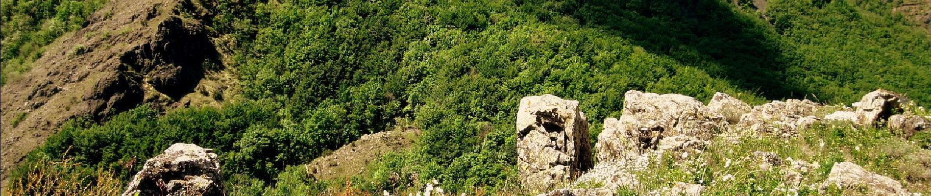 Percorso A piedi Farini - Villanova - Monte Mangiapane - Piani d'Aglio - Pradovera - Photo