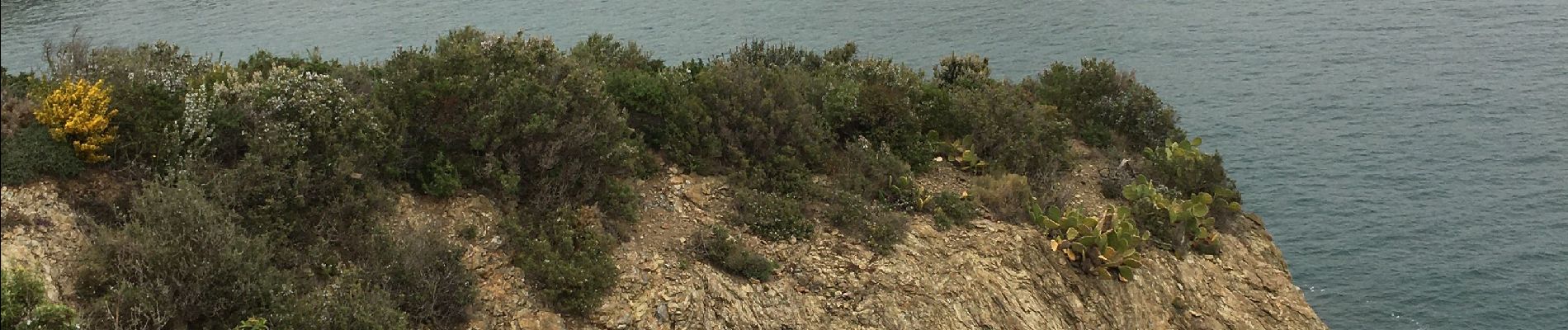 Trail Walking Port-Vendres - Port cendres de la mer à la montagne - Photo