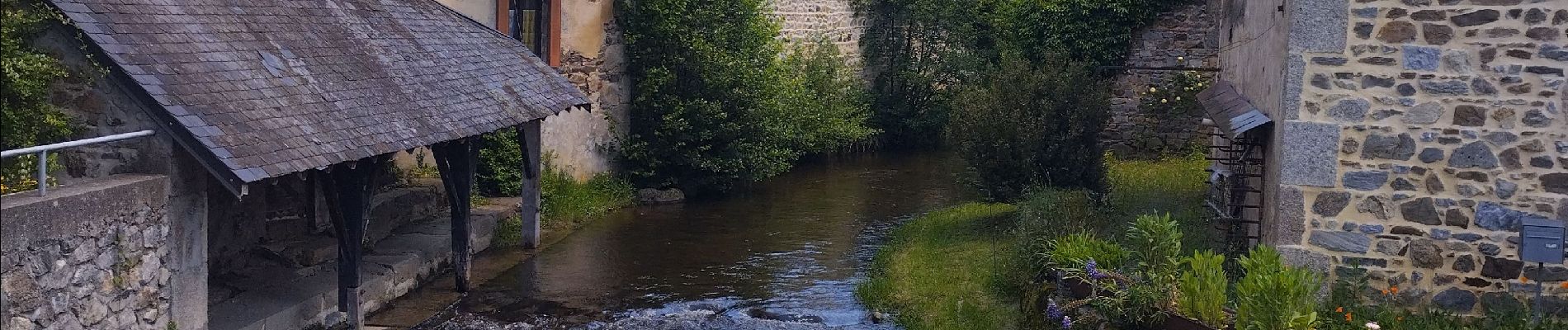 Randonnée Trail Ferrières-sur-Sichon - circuit du moulin neuf  - Photo