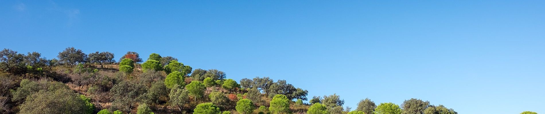 Tour Zu Fuß Odeleite - Barrancos - Photo