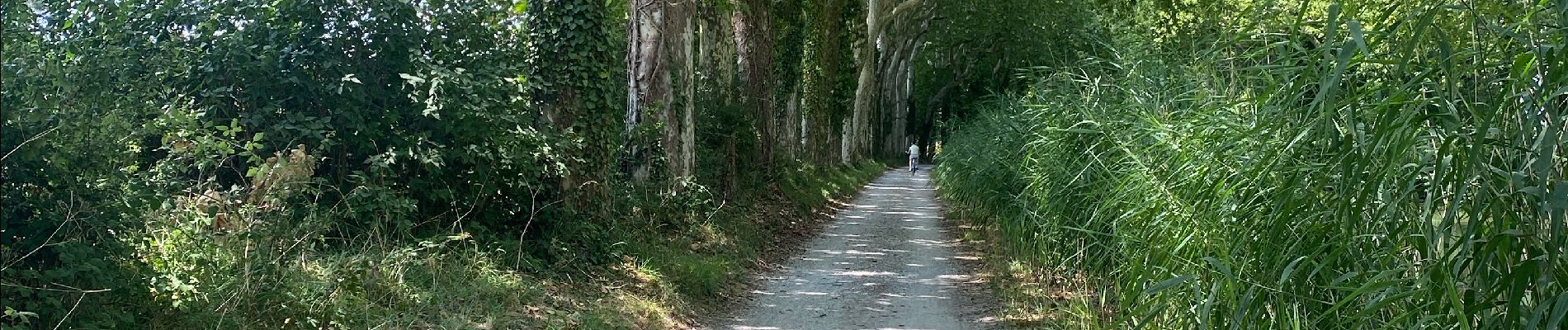 Randonnée Cyclotourisme Avignonet-Lauragais - Canal du Midi - Photo