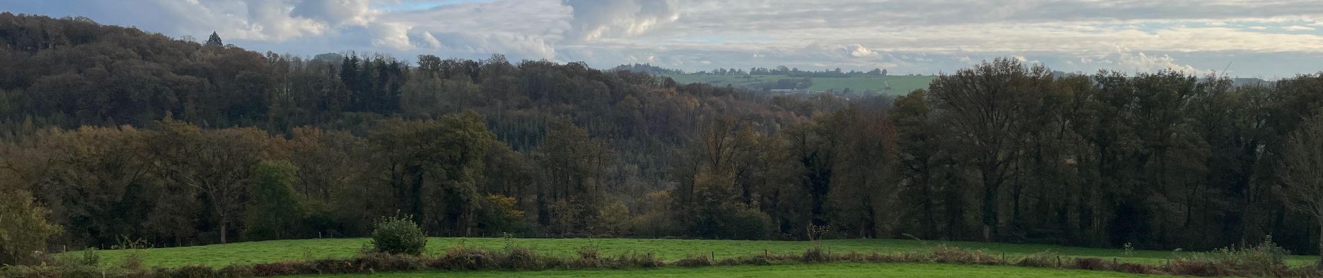 Randonnée Marche Esneux - Mery. - Photo