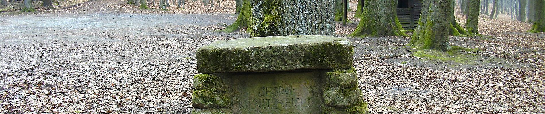 Tour Zu Fuß Linsengericht - Linsengerichter Rundwanderweg Nr.3 - Photo