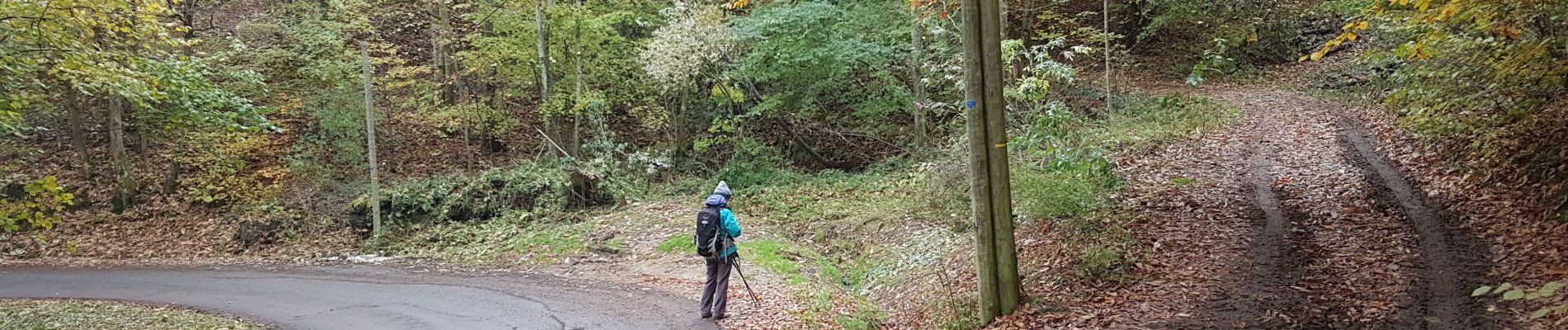 Trail Walking Saint-Martin-en-Haut - barrage   - Photo