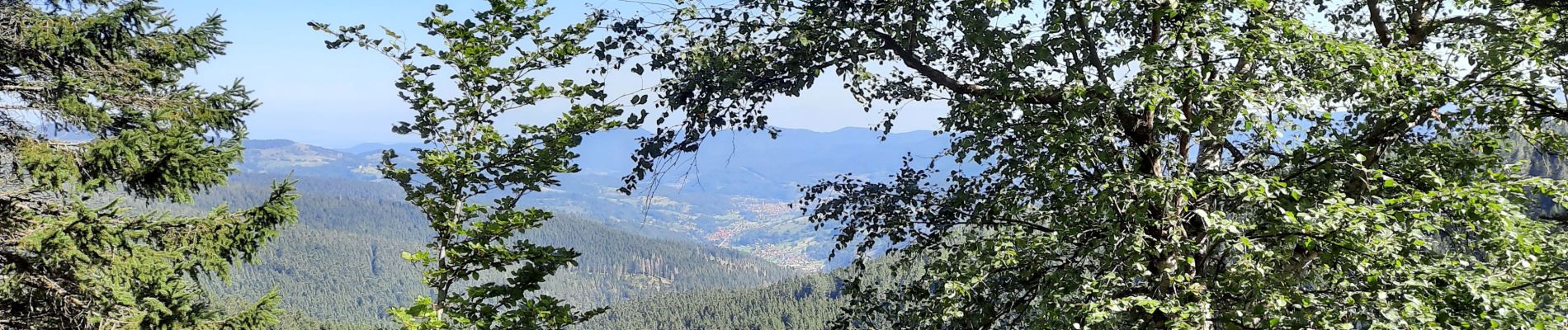 Randonnée Marche Le Valtin - hirschsteine,  col de la schlucht - Photo