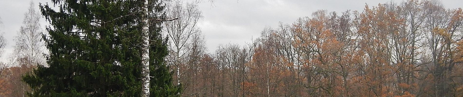 Percorso A piedi Magstadt - DE-SAV Blaues Hufeisen, von - nach? - Photo