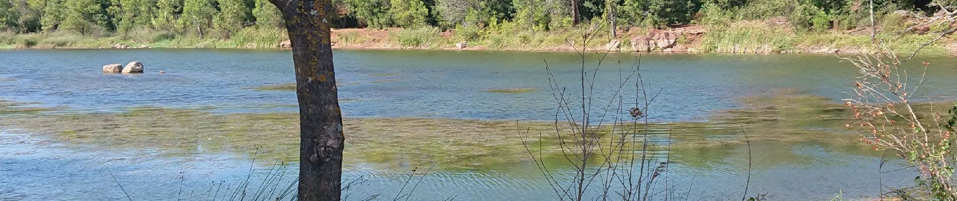 Excursión Marcha nórdica Le Cannet-des-Maures - voie verte la bourdrague  - Photo