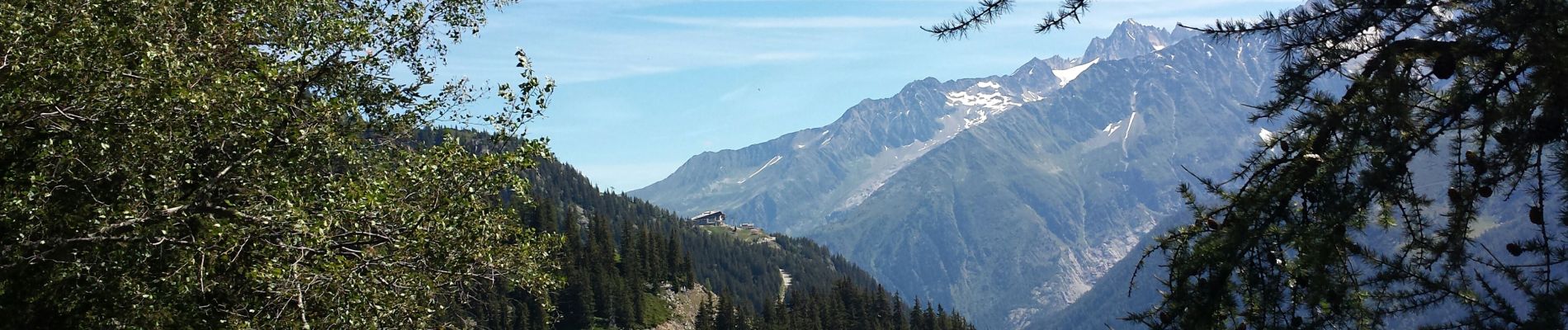 Percorso Marcia Chamonix-Mont-Blanc - lac blanc - Photo