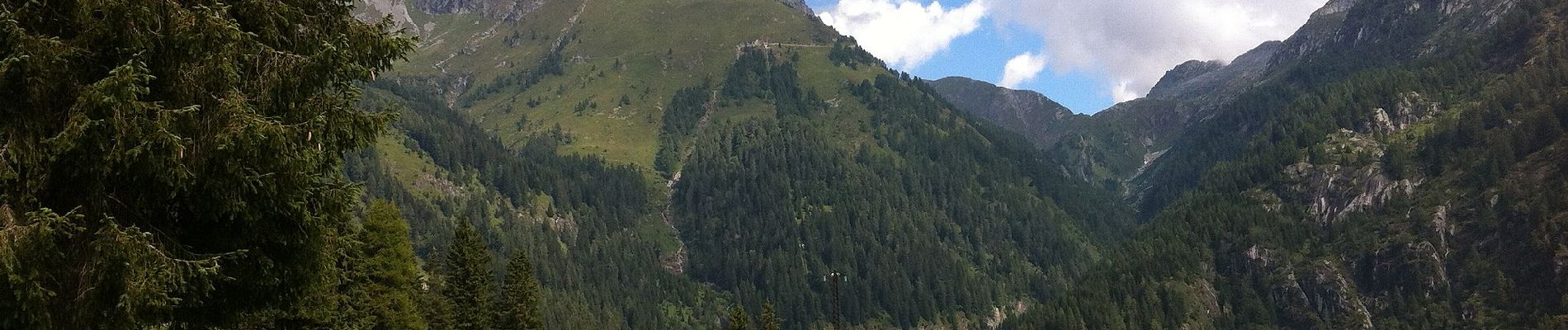 Percorso A piedi Breno - Gaver - Monte Bruffione - Malga Bruffione - Photo
