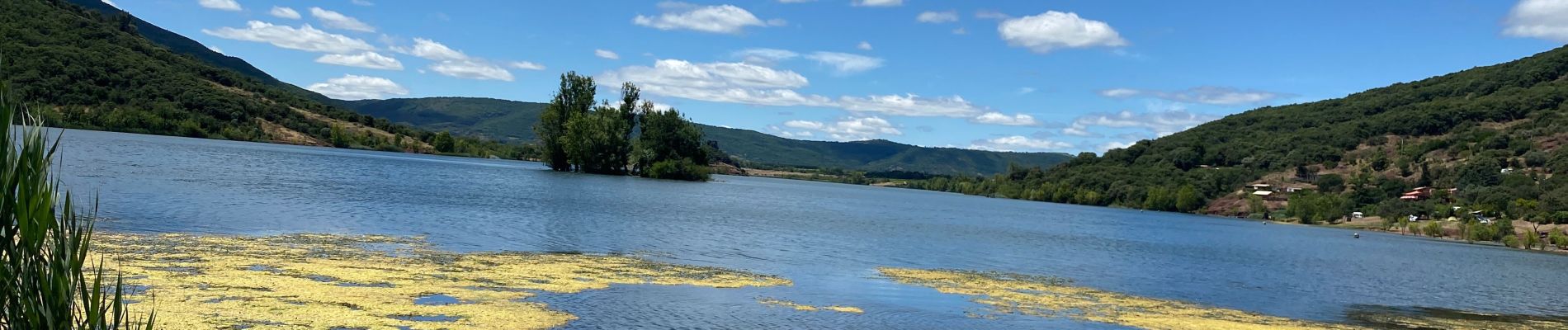 Tocht Stappen Clermont-l'Hérault - LSG lac Salagou juin 2020 -1 - Photo