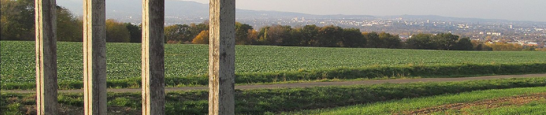 Excursión A pie Söhrewald - Dörnhagen, Rundweg 7 - Photo