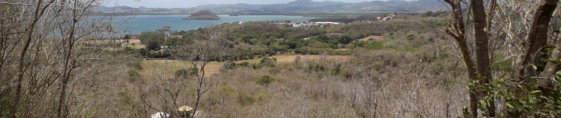 Excursión Senderismo Les Anses-d'Arlet - Gallochat - parcour sportif  - Photo