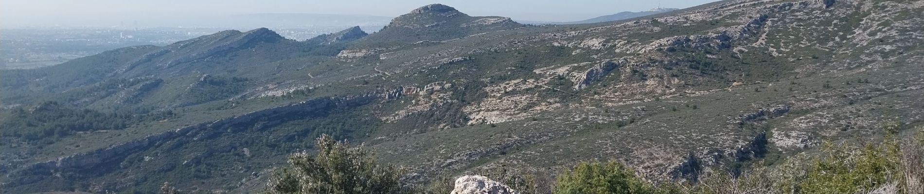 Tocht Stappen Aubagne - belle de mai 29fev24 - Photo