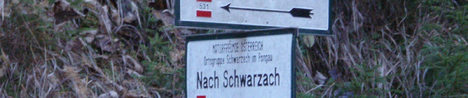 Excursión A pie Sankt Veit im Pongau - Schwarzach Höhenweg - Photo
