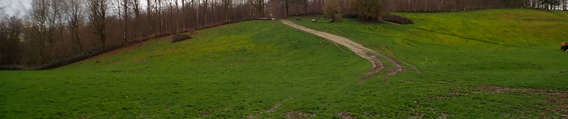 Tocht Stappen Itter - Ittre, Bois des Frères, Champ d'Hurbise - Photo