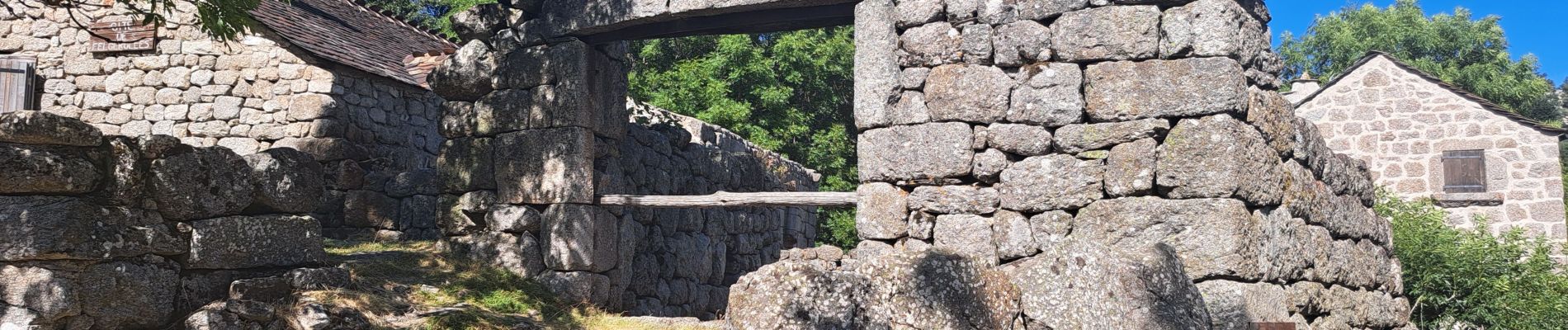 Tocht Stappen Pont de Montvert - Sud Mont Lozère - T-Le Merlet - Photo