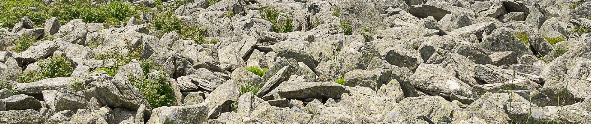 Tocht Stappen Le Béage - Le tour des cinq sucs au départ du Béage - Photo